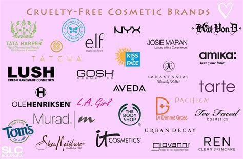 A Comprehensive Guide to Cruelty-Free Beauty Brands