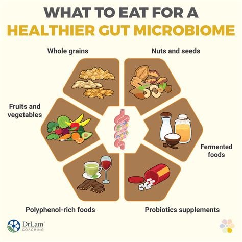 Best Practices for Maintaining a Healthy Gut Microbiome