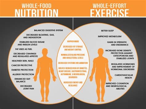 Combining a Balanced Diet and Exercise for Optimal Health