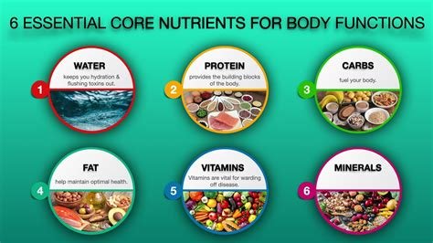 Essential Nutrients Your Body Needs for Peak Performance
