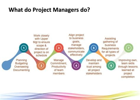 Strategies for Effective IT Project Management