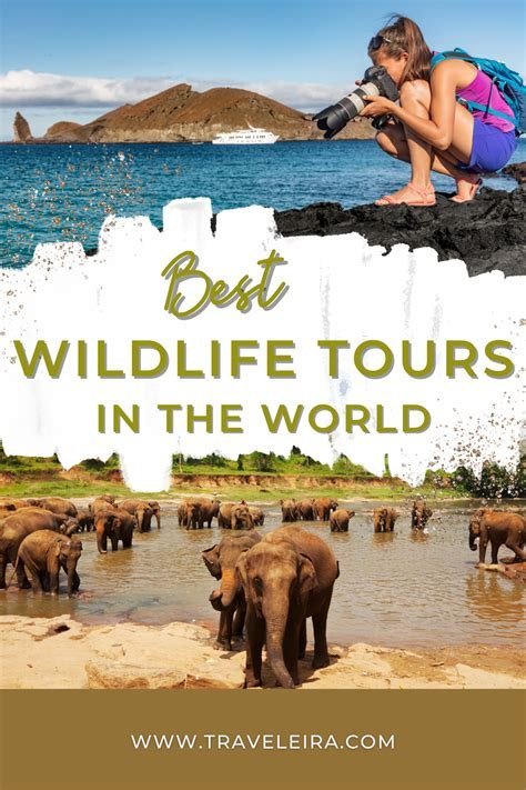 The Best Destinations for Nature and Wildlife Enthusiasts