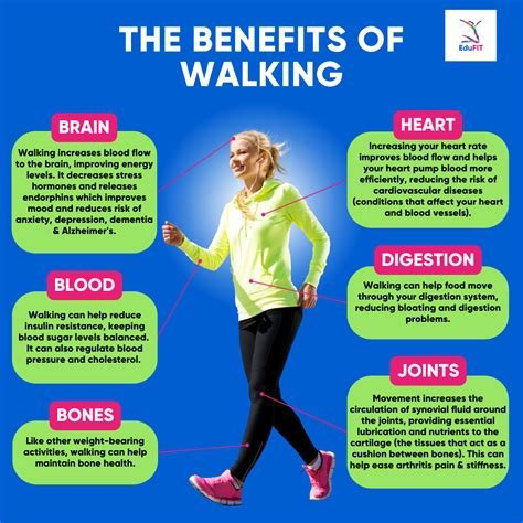 The Health Benefits of Daily Walking: Simple Tips to Get Started