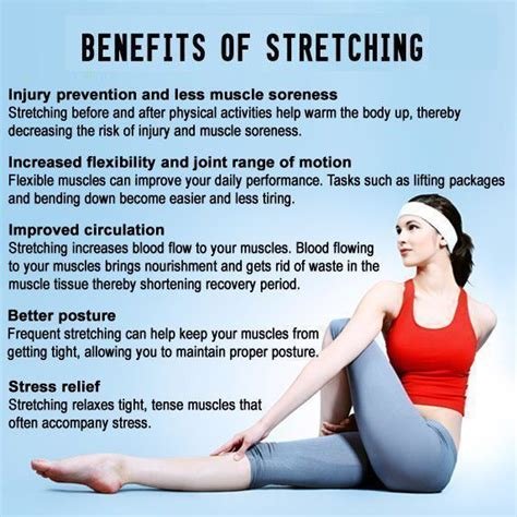 The Importance of Daily Stretching for Flexibility and Health