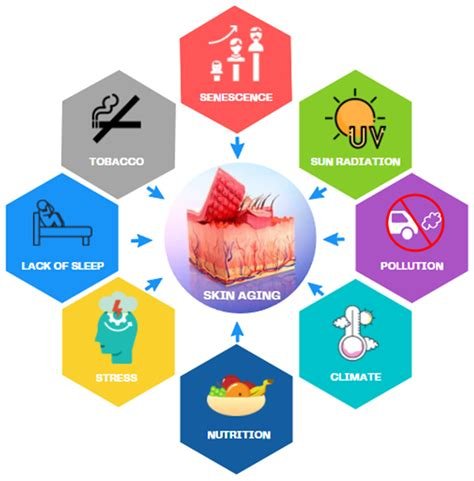 The Role of Antioxidants in Natural Skincare and Anti-Aging