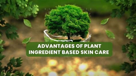 Understanding the Benefits of Plant-Based Beauty Ingredients